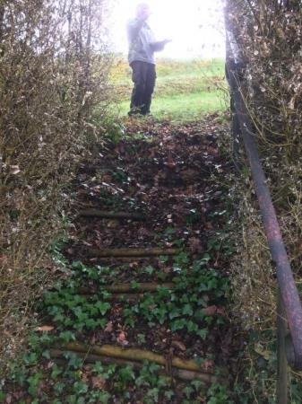 Steps Before