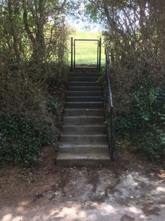Steps After
